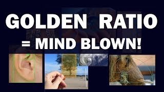 Golden Ratio  Mind Blown [upl. by Rhodie]