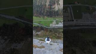 double gainer adrenaline basejump nature flying mountains mountain adventure switzerland [upl. by Fendig]