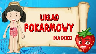 Układ pokarmowy 👅 Film edukacyjny dla DZIECI 🧒 [upl. by Josi]