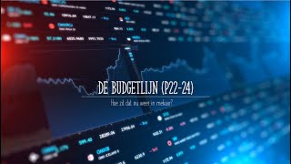 3EC Thema 1  Budgetlijn [upl. by Aurthur367]