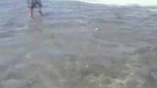 Fly Fishing for Bonefish in Los Roques Venezuela [upl. by Dleifyar]