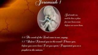 Jeremiah 1 with text  press on more info [upl. by Nomed]