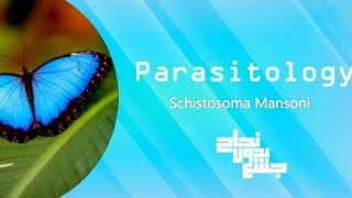 Intestinal Schistosoma Parasitology L1 [upl. by Lecia]