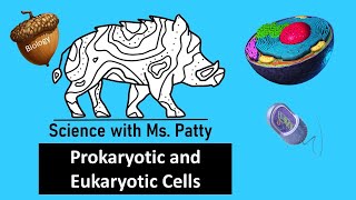 Prokaryotic and Eukaryotic Cells  Biology [upl. by Idoc]