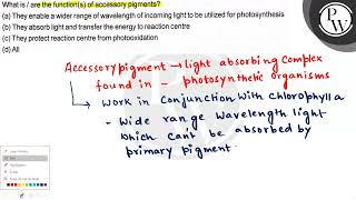 Whatis  are the functions of accessory pigments a They enab [upl. by Ebony528]