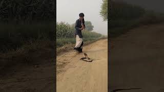 Road par nagin bethi hy [upl. by Michelsen]