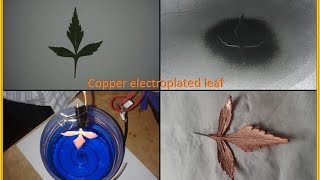 How to Make an Electroplated leaf medalion  DIY Orbit1 replication [upl. by Irreg]