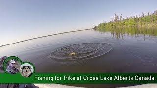 Fishing for Pike at Cross Lake Alberta Canada [upl. by Asilram534]