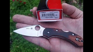 Spyderco Dragonfly Pakkawood in Hap40 First Look [upl. by Whelan388]