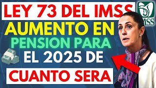 ✨ ¡Buenas Noticias para Pensionados Ley 73 del IMSS 🌟 Más Dinero en tu Bolsillo 💵 [upl. by Attennot]