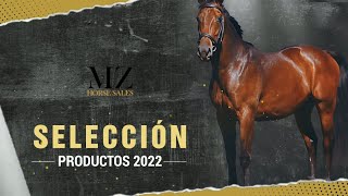 LOTE 23  CINNAMON WHISKEY [upl. by Marcella526]