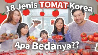 BORONG DAN COBA SEMUA JENIS TOMAT KOREA 🍅 [upl. by Elleval]