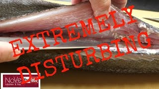 WARNING TAPEWORM PARASITE SUSHI Would You Eat This Fish [upl. by Girhiny]