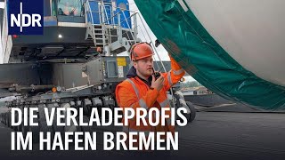 Groß schwer und sperrig  Die Verladeprofis im Hafen Bremen  Die Nordreportage  NDR Doku [upl. by Emmalynn]