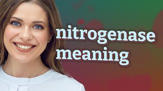 Nitrogenase  meaning of Nitrogenase [upl. by Leanne]