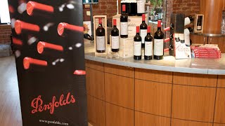 Increased Penfolds demand boosts Treasury Wine Estates profit [upl. by Htennek166]