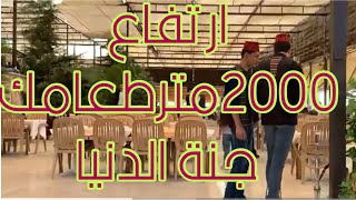 على ارتفاع 2000متر الجنة اروع اكل [upl. by Amice]