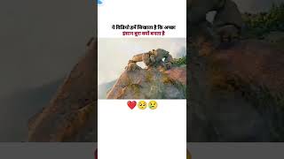 Life ke liye ye video jarur dekho 🙏 shortvideo motivationalquotes videoshort emotional status [upl. by Anahsek]