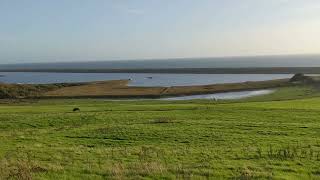 West Fleet nature reserve near Abbotsbury Dorset [upl. by Munsey]