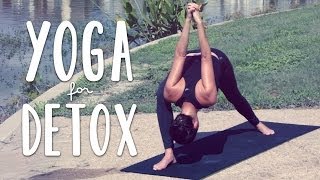 Detox Yoga  20 Minute Yoga Flow for Detox and Digestion [upl. by Betteanne]