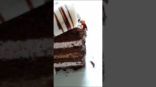 Black Forest Cake A Decadent Delight for Every Occasion [upl. by Eppillihp364]