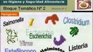 Introducción a la Microbiología Parte 1 [upl. by Rehprotsirhc208]