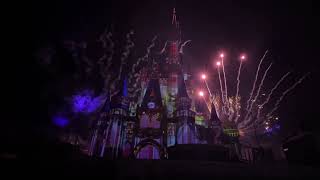 Fireworks at Magic Kingdom  part3 [upl. by Eisiam]