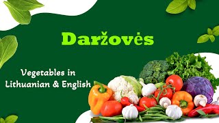 Daržovės  Vegetables in Lithuanian amp English [upl. by Dranyam]