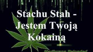 Stachu Stah  Jestem Twoją Kokainą [upl. by Emerick923]