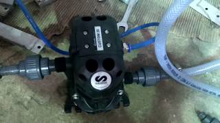 GOLDS  DOSING AIR OPERATED DOUBLE DIAPHRAGM PUMP AOD AODD  DIRECTFLO DC20 [upl. by Agata]