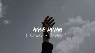 Agle Janam Milna Hoga  Rishi Roy   Slowed  Reverb   Sad Songs [upl. by Notyad]