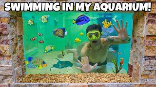 Swimming With My FISH inside 4000G SALTWATER REEF POND [upl. by Lengel]