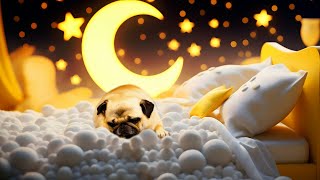 Relax in Space with Pearl the Peaceful Pug ✨🐶🌙 [upl. by Anert247]