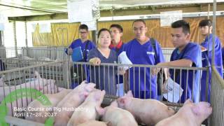 IMPRESSIONS  Basic Course on Pig Husbandry 2017 [upl. by Bathulda]