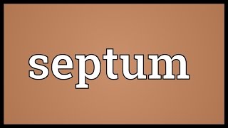 Septum Meaning [upl. by Rabaj]