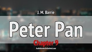 Peter Pan Audiobook Chapter 9 [upl. by Fasa]