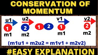 Conservation of Momentum Law  Class9  Derivation amp Defination [upl. by Yendahc614]