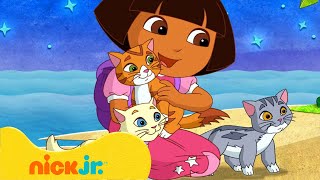 Dora the Explorer  Dora zingt met schattige dieren  Nick Jr Nederlands [upl. by Pardner]