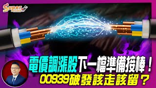 00939破發該走該留？ 電價調漲股下一檔準備接棒！｜Mr林信富 [upl. by Weig]