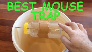 Best Mouse Trap Ever  Mice Trap Catches dozens of mice alive without having to reset trap [upl. by Mitinger]