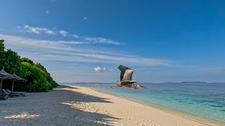 Reethi Beach Resort Maldives [upl. by Eatnod838]