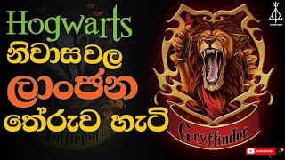 Hogwarts නිවාස වල ලාංඡන තේරුවේ මෙහෙමයි  Wizarding World Secrets [upl. by Batha892]