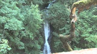 Accessible Adventures Water Falls Along the Historic Columbia River Highway [upl. by Shirlee780]