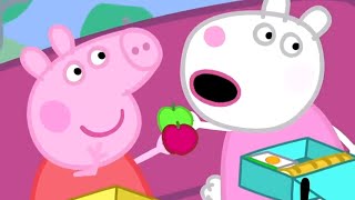 Peppa Pig en Español Episodios completos 🚌 La excursión 🚌 Peppa Pig 2019  Pepa la cerdita [upl. by Meer]