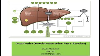 Xenobiotic Metabolism  Detoxification  Phase I Reactions  Biochemistry  Part 01 [upl. by Meriel]