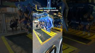 POV Seaworld’s FLYING Roller Coaster [upl. by Aschim]