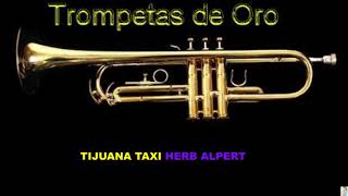 Tijuana Taxi Herb Alpert BT [upl. by Ecnerwal]