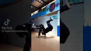 aikido master amazing skills hapkido Kung Fu wushu martial arts karate training extraordinary omg [upl. by Thomson]