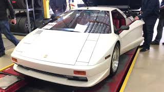 Cizeta Start Up and Revs  16 Cylinders Of Awesome [upl. by Enahsal]