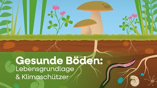 Gesunde Böden Lebensgrundlage amp Klimaschützer  Bodenatlas 2024 [upl. by Leodora]